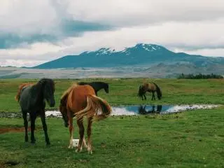 4-Day Laugavegur Trek Classic Tour from Reykjavik (Mountain Huts)