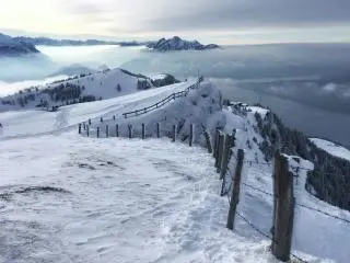 1-Day  Rigi - Queen of the Mountains tour from Zurich