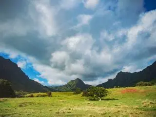 2-Hour Kualoa Jurassic Valley Horse Riding and Walking Tour from Waikiki hotel area