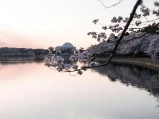 East Potomac Park