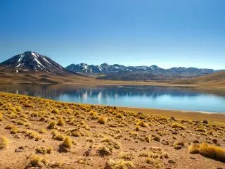 Laguna Miscanti and Miñiques