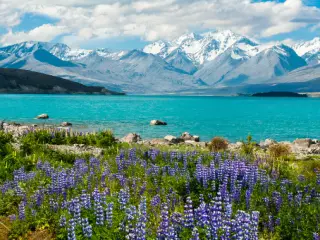 5-Day Lake Tekapo, Mount Cook, Queenstown South Island Tour Tour from Queenstown to Christchurch