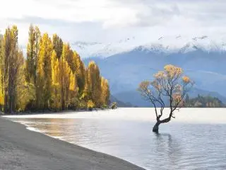8-Day Kaikoura, Lake Tekapo, Mount Cook, Queenstown, Fiordland, Dunedin, Oamaru South Island Tour from Christchurch