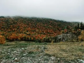 1-Day Quebec City Tour from Montreal