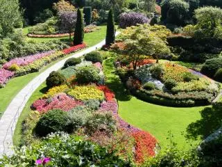 Victoria Inner Harbour and Butchart Gardens Tour