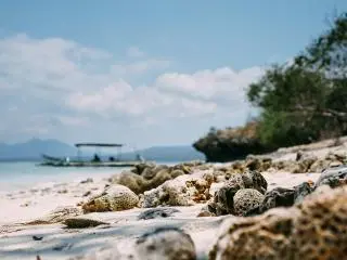 Menjangan Island, Indonesia