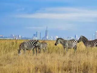 14-day Kenya &amp; Tanzania Safari Adventure from Nairobi, ends in Kilimanjaro
