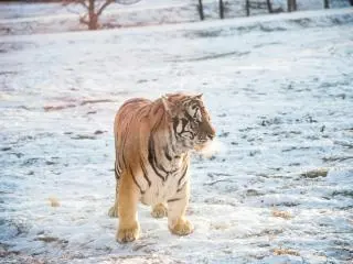 6-Day China Snow Town Boutique Small Group Tour