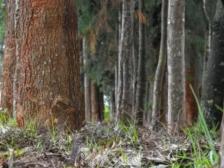 Nyahururu, Kenya
