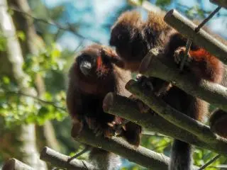 4-Day Netherlands: Land of Freedom Van Gogh Trails &amp; Architectural Wonders Tour from Amsterdam