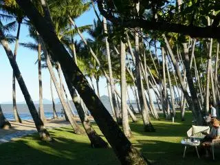 Palm Cove Beach