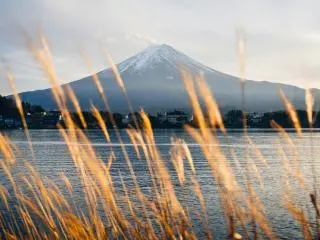 14-Day Japan Classic Tour from Tokyo to Hiroshima
