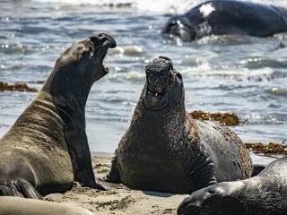 8日游-【美西大环线 | 入住黄石公园 | 10人精致小团】一号公路-大提顿-羚羊谷-马蹄湾-布莱斯-黄石（旧金山进拉斯维加斯出）