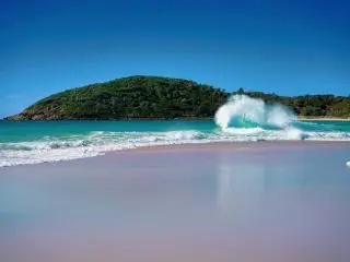 1-Day Port Stephens Tour from Sydney
