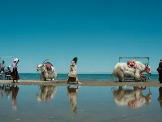 Qinghai Lake, CN