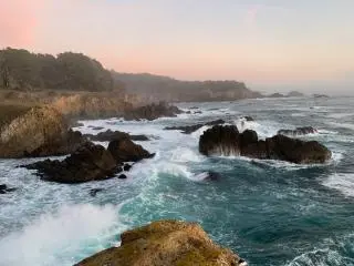 5-Day California Coastlines and Vineyards, Waves and Wine Tour from San Francisco (Small Group)