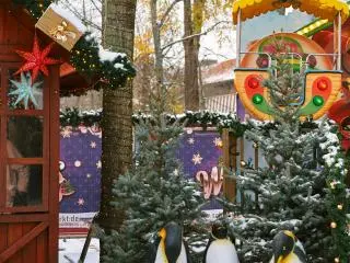 1-Day Christmas Polar Express Ice Sculpture Tour from New York