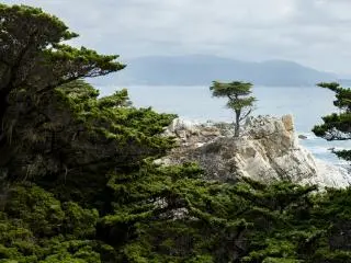 11-Day US West Classic Loop Tour from San Francisco to Los Angeles | Small Group