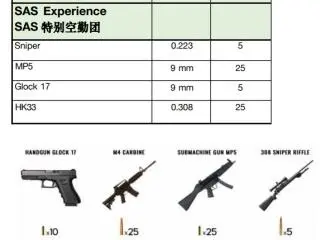 SAS Experience