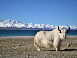 9-Day Lhasa, Yamdrok Lake, Shigatse, Everest Base Camp, Namtso Lake Tour from Lhasa