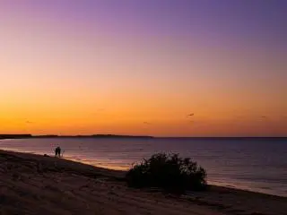 Shark Bay, Australia