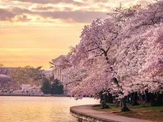 🇺🇸 East Coast City & Nature Getaways