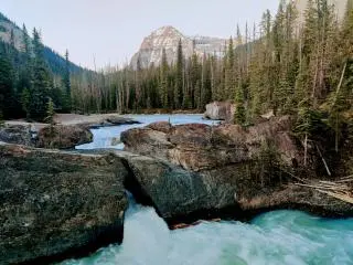 1-Day Moraine Lake, Lake Louise, Yoho National Park Ultimate Canadian Rockies Summer Tour from Calgary/Banff/Canmore
