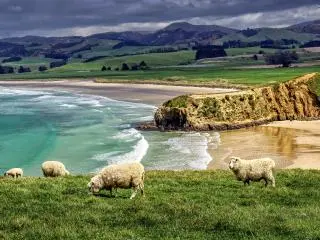 New Zealand New Zealand