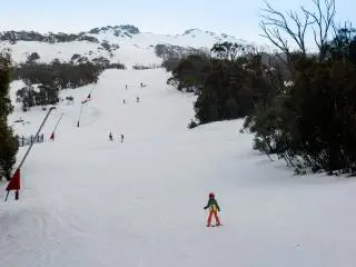 5-Day Kosciuszko National Park Experienced Ski Tour from Sydney  (Smiggin Holes or Perisher Blue, Thredbo is available)