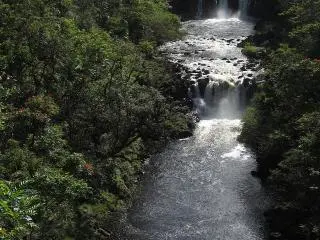 夏威夷乌毛马河私密瀑布1小时快速体验｜游泳、划艇、桨板，尽享秘境时光