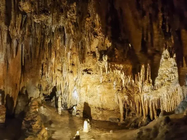雪兰多洞穴 (Shenandoah Caverns)