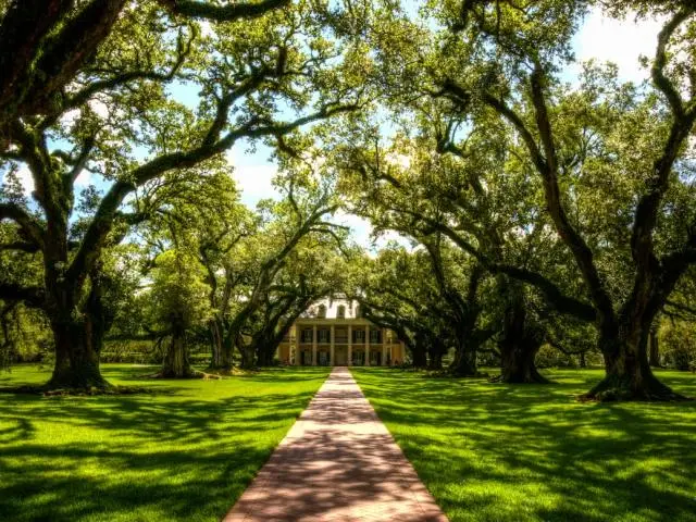 Oak Alley Plantation