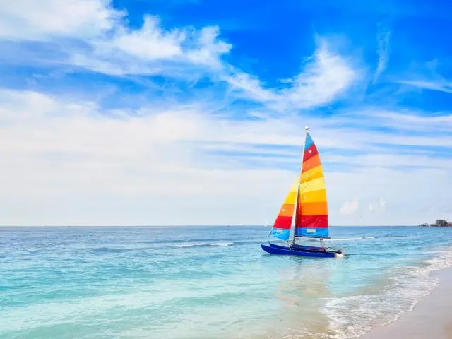 清水市 (Clearwater, FL)