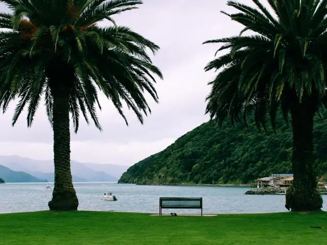 皮克顿 (Picton, NZD) 皮克顿 (Picton, NZD)