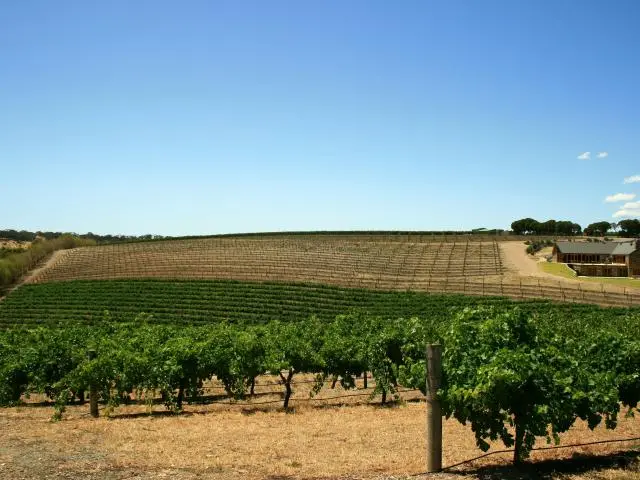 巴罗莎山谷 (Barossa Valley, AU)