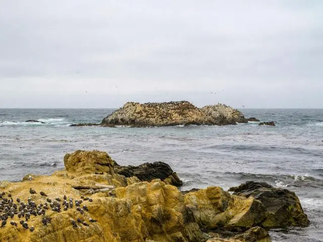 鸟岩 (Bird Rock) 鸟岩 (Bird Rock)