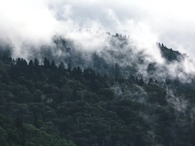 大烟山国家公园 (Great Smoky Mountains, TN)