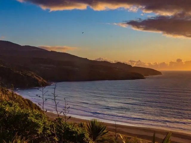 雷格兰 (Raglan, NZD)