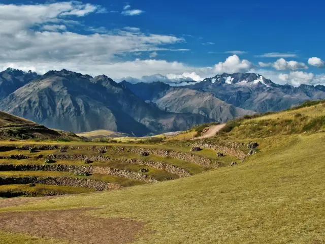 Maras Maras