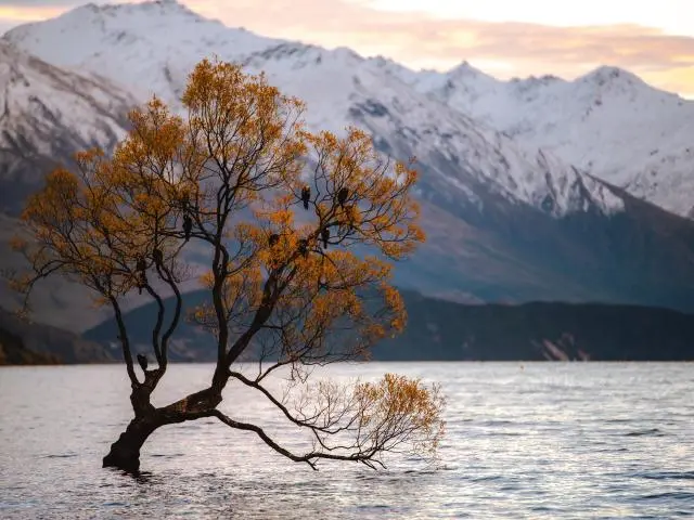 Lake Wanaka Lake Wanaka