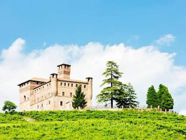 Castle of Grinzane Cavour