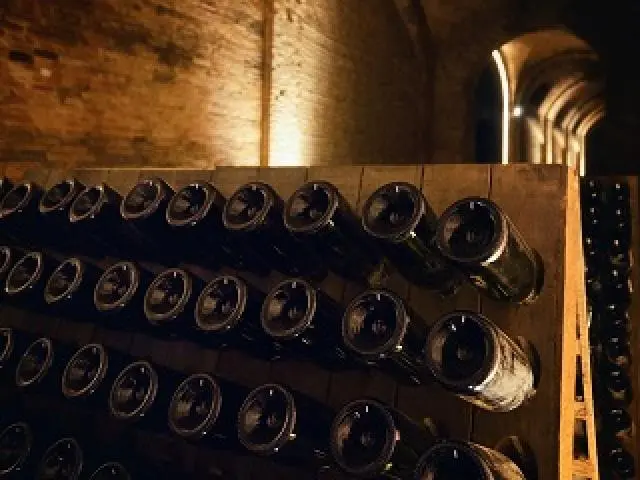 Visit of the cellars and wine tasting