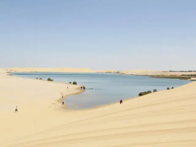 法尤姆绿洲 (Faiyum Oasis, EGYPT)