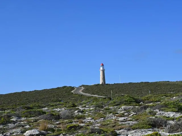 弗林德斯蔡斯国家公园 (Flinders Chase National Park)