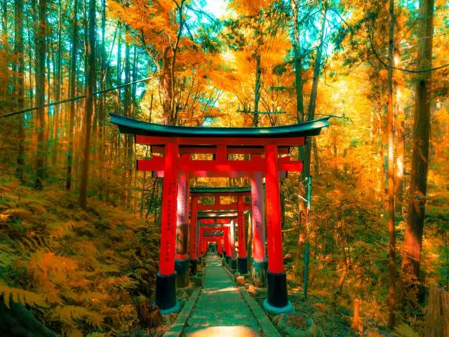 伏见稻荷大社 (Fushimi Inari Taisha)
