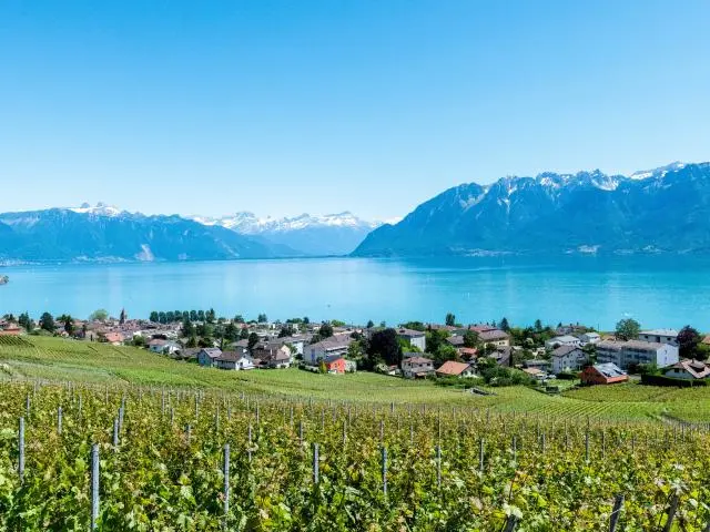 日内瓦湖 (Lake Geneva)
