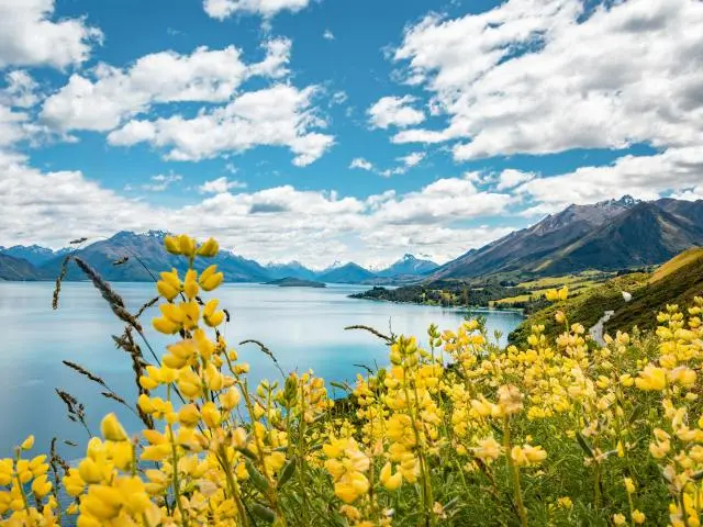 格林诺奇 (Glenorchy, NZD)
