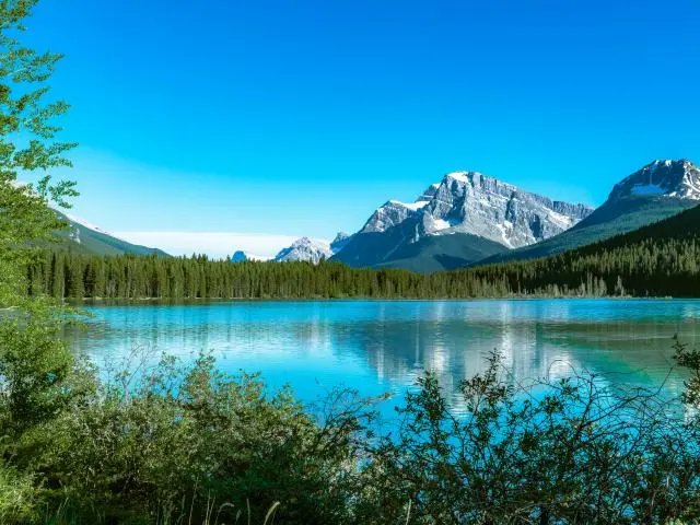 Bow Lake Bow Lake