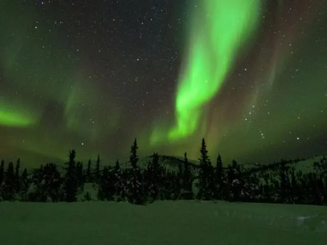 Chase the Northern Lights: Alaska, Yellowknife & Lapland, all handled for you