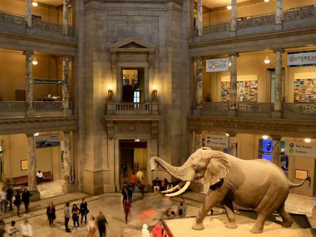 国家自然历史博物馆 (National Museum of Natural History)